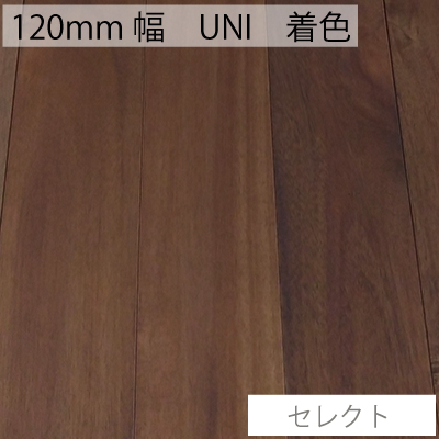 アカシア　120㎜幅　UNI　セレクト 着色