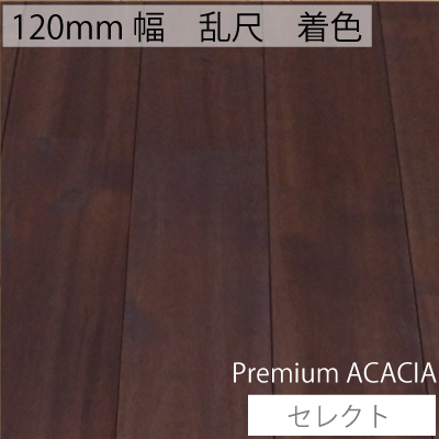 無垢フローリング　アカシア　プレミアムアカシア　乱尺