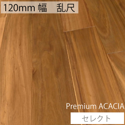 無垢フローリング　アカシア　プレミアムアカシア　乱尺