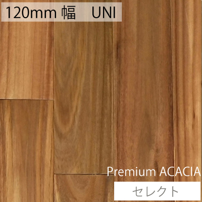 無垢フローリング　アカシア　プレミアムアカシア　UNI