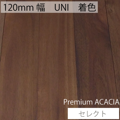 無垢フローリング　アカシア　プレミアムアカシア　UNI　着色
