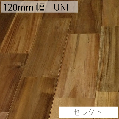 アカシア　UNI　120㎜幅　セレクト　商品一覧へ